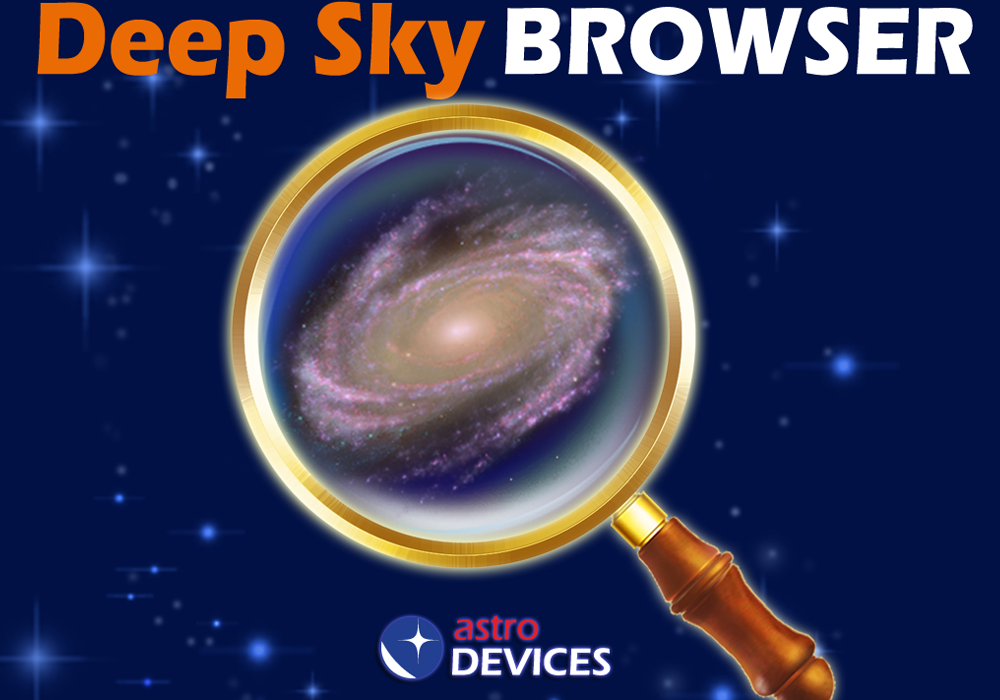 DSS Browser